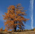 Herbst am Berg-024